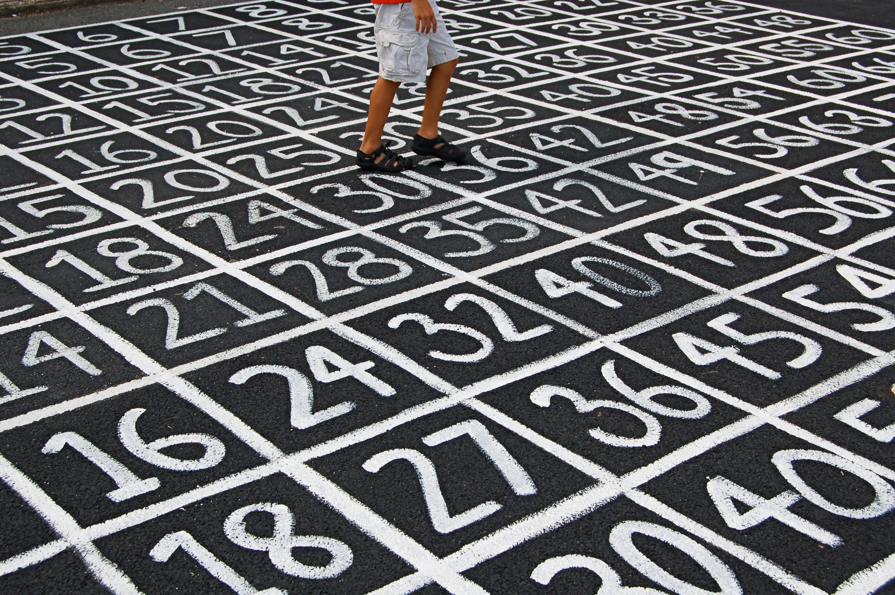 Immagine di sezione